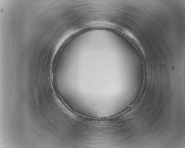 X0000052601376200507292112