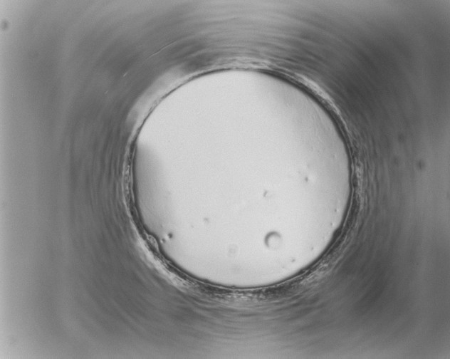 X0000052601379200507292112