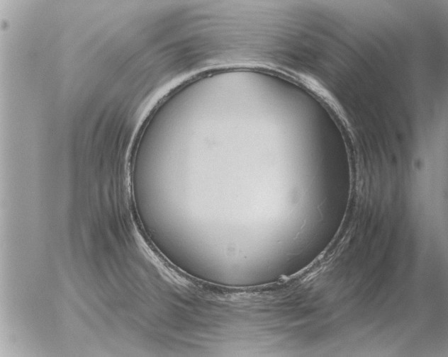 X0000052601380200507292112