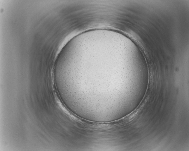 X0000052601382200507292112