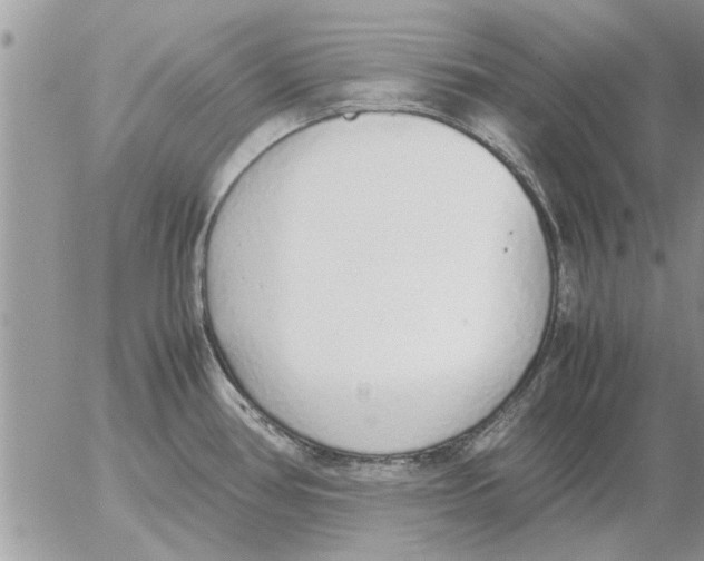 X0000052601386200507292112