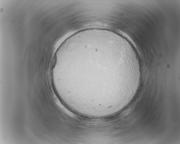 X0000052601387200507292112