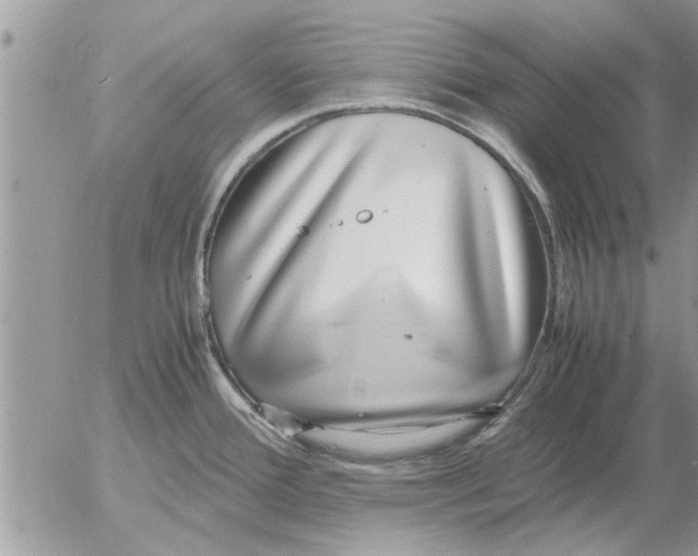 X0000052601388200507292112