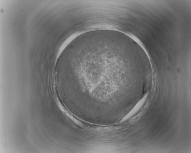 X0000052601389200507292112