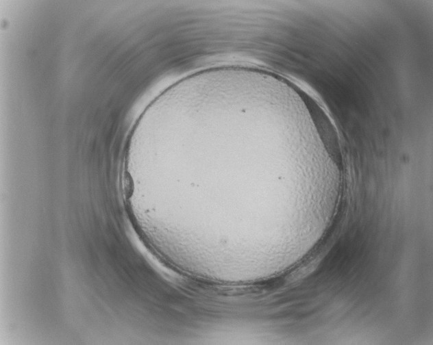 X0000052601391200507292112