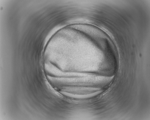 X0000052601392200507292111