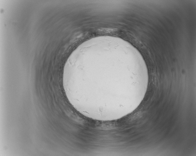 X0000052601393200507292111