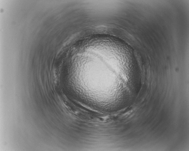 X0000052601394200507292111