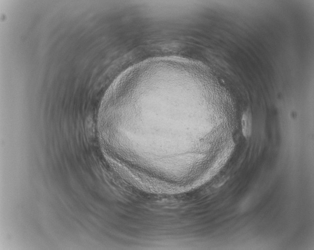 X0000052601395200507292111