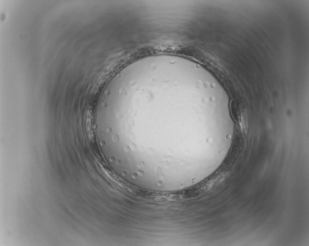 X0000052601396200507292111