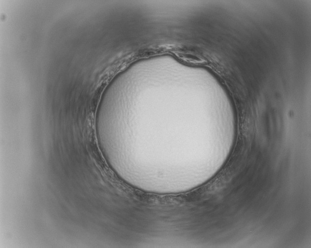 X0000052601397200507292111