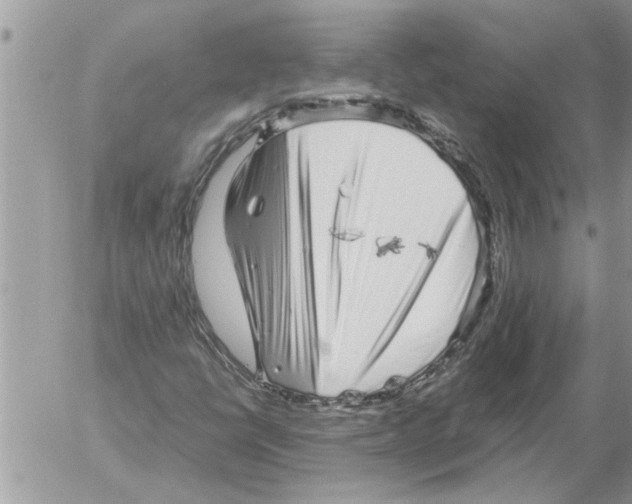 X0000052601398200507292111