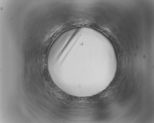 X0000052601399200507292111