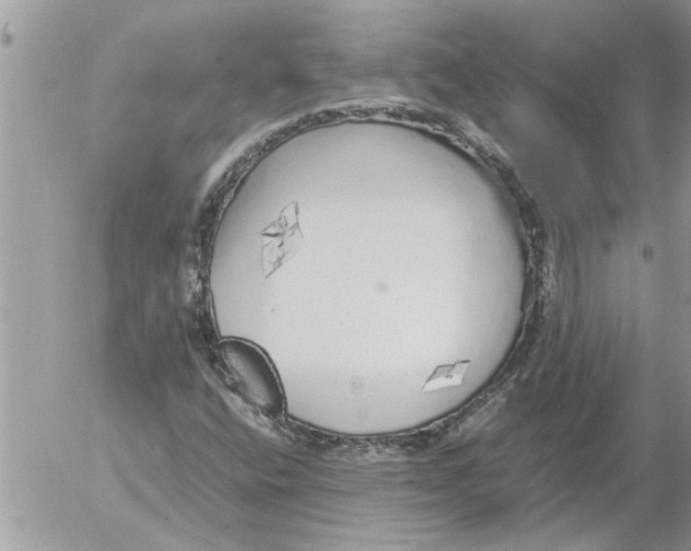 X0000052601400200507292111