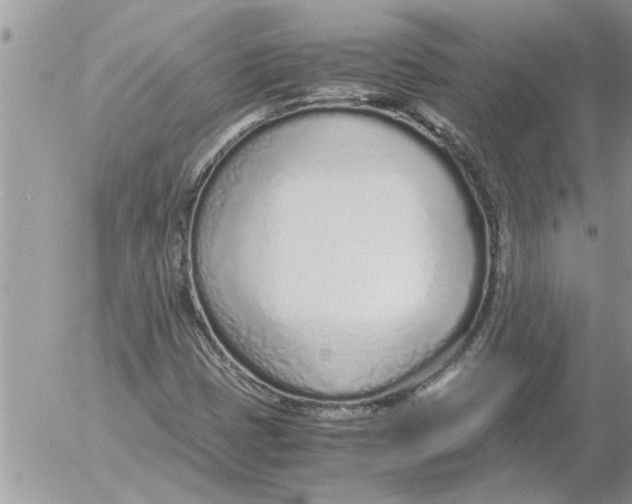 X0000052601401200507292111