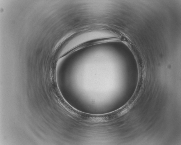 X0000052601402200507292111