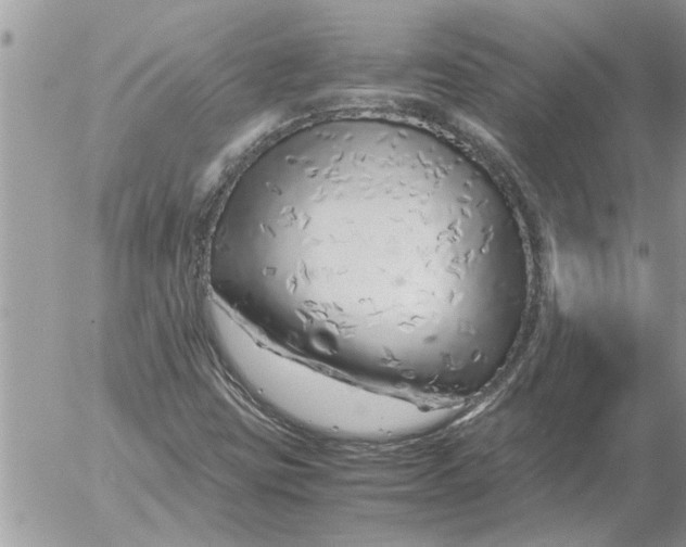 X0000052601403200507292111