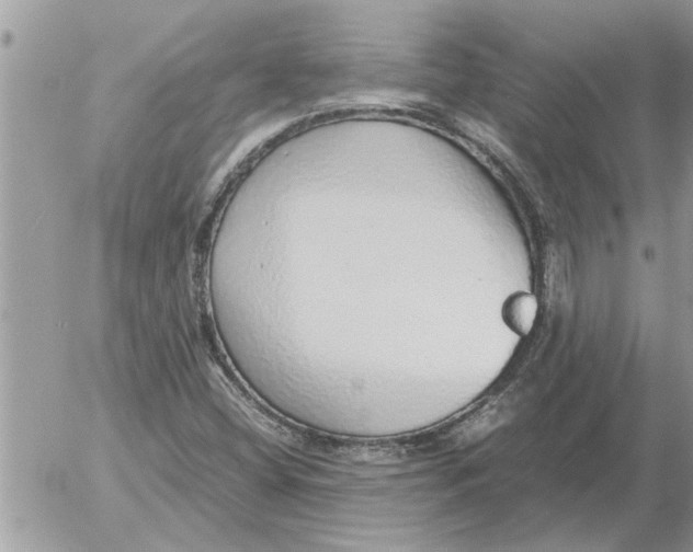 X0000052601404200507292111