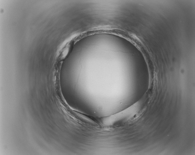 X0000052601406200507292111