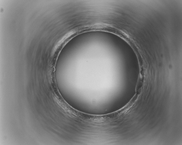 X0000052601410200507292111