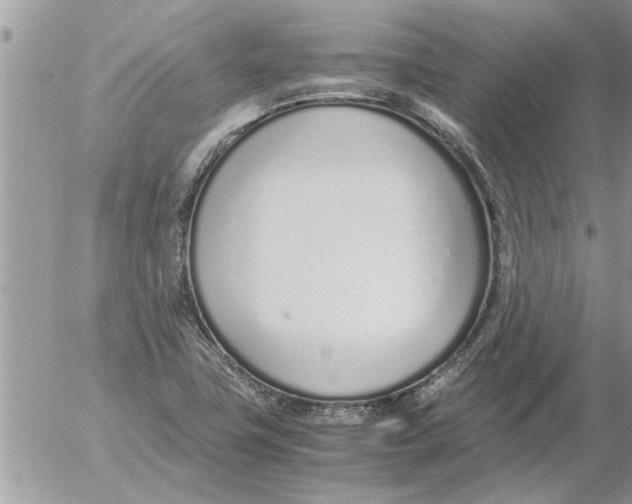 X0000052601411200507292111