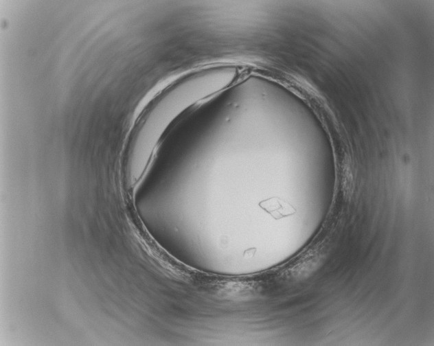 X0000052601412200507292111