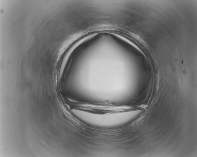 X0000052601413200507292111