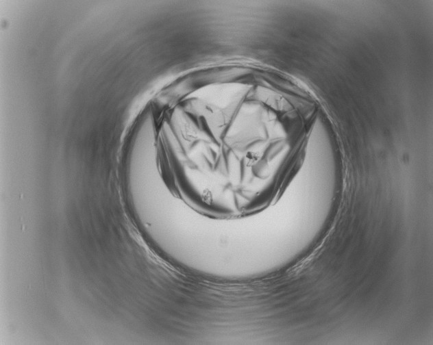 X0000052601414200507292111