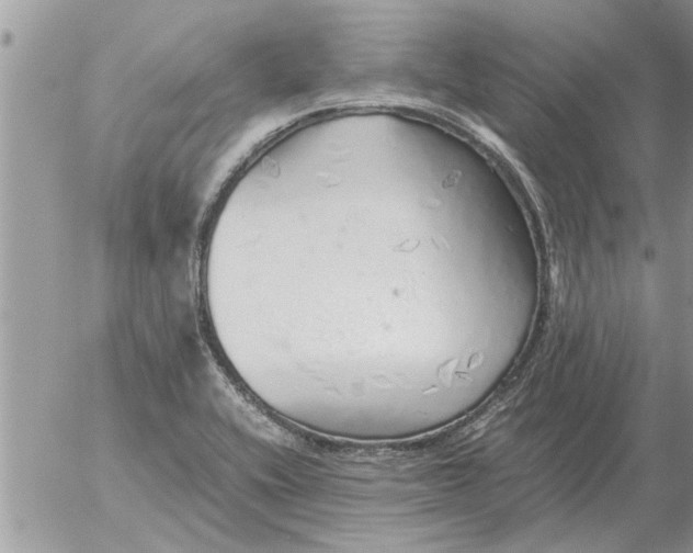 X0000052601416200507292111