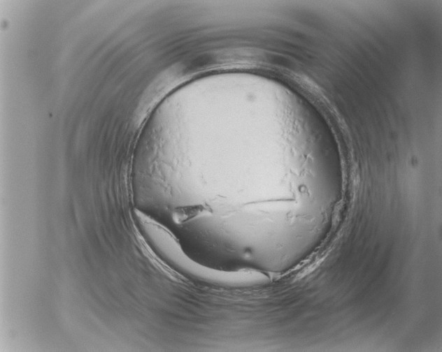 X0000052601417200507292111