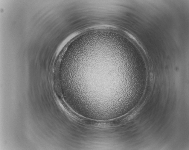 X0000052601418200507292111