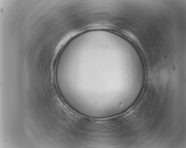 X0000052601419200507292111