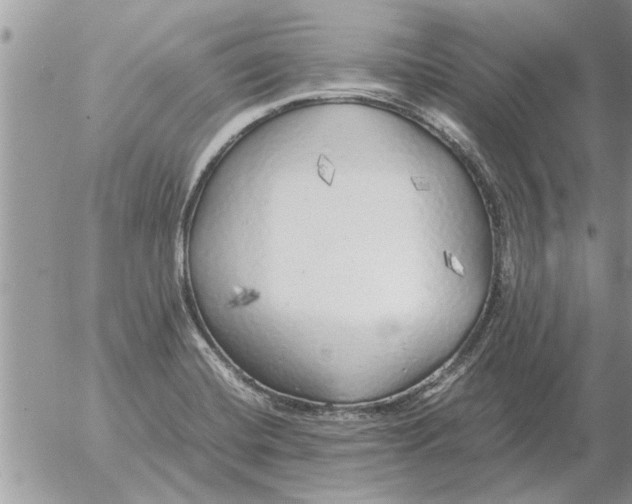 X0000052601420200507292111