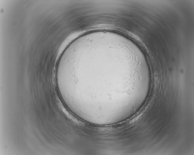 X0000052601421200507292111