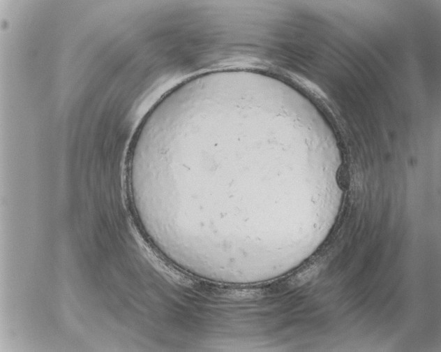 X0000052601423200507292111