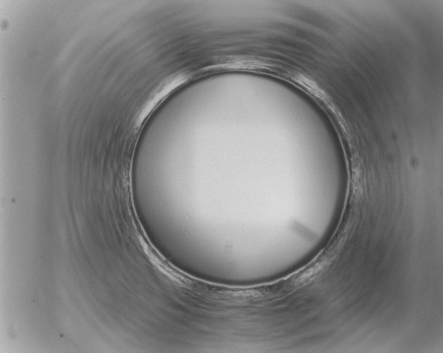 X0000052601425200507292111