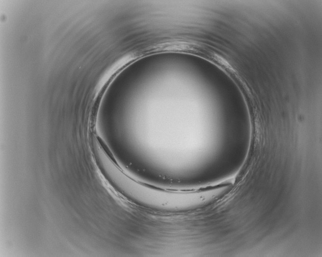 X0000052601426200507292111