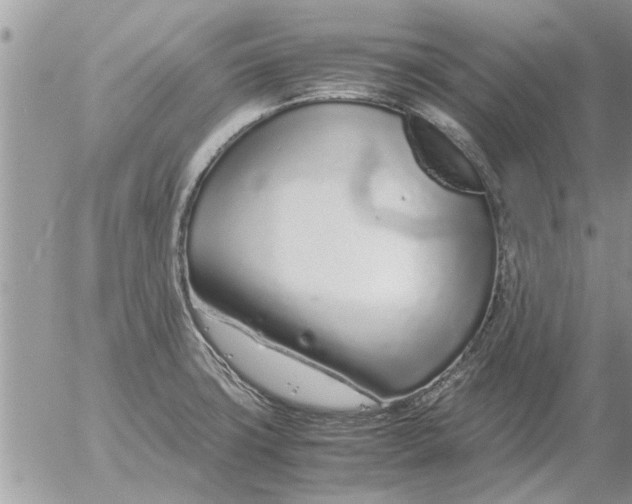 X0000052601427200507292111