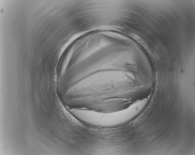 X0000052601428200507292111