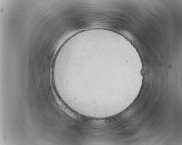 X0000052601431200507292111