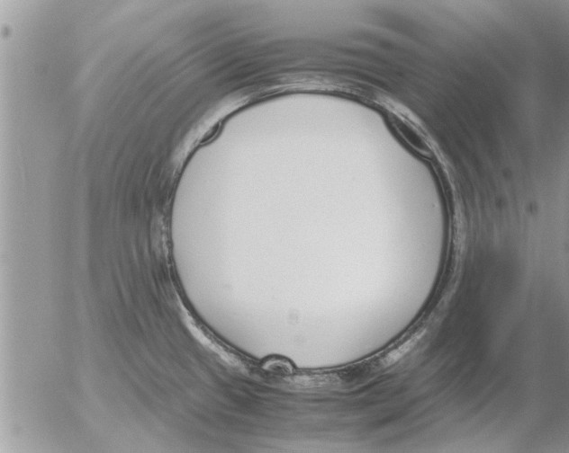 X0000052601433200507292111