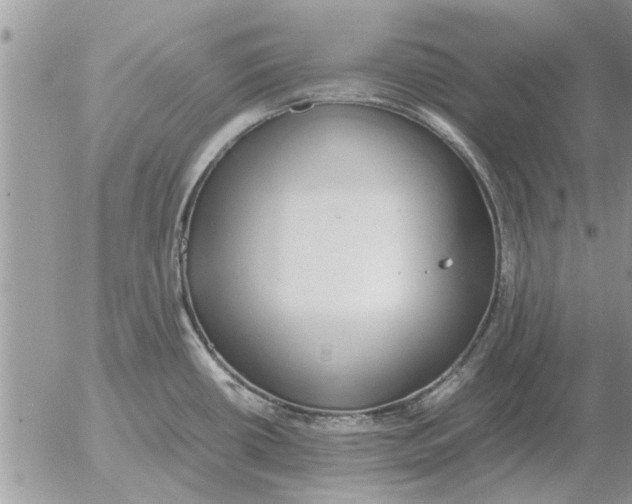 X0000052601434200507292111