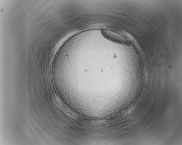 X0000052601435200507292111