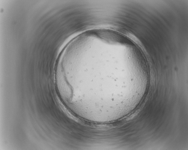 X0000052601436200507292111