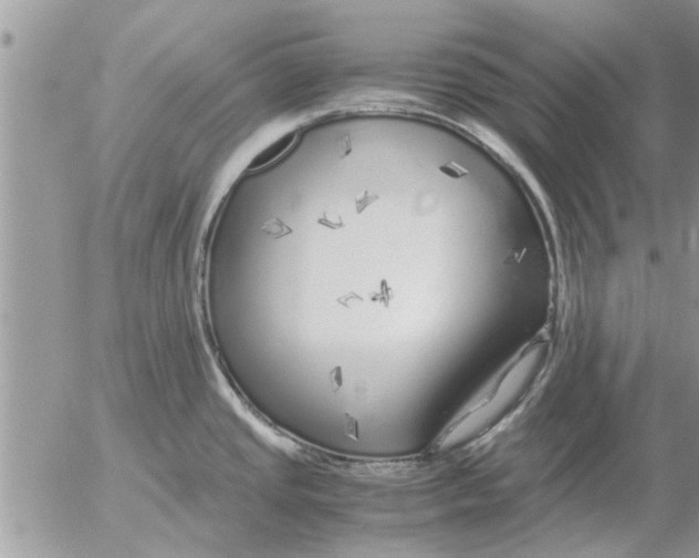 X0000052601437200507292111