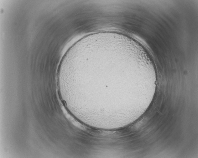 X0000052601439200507292111