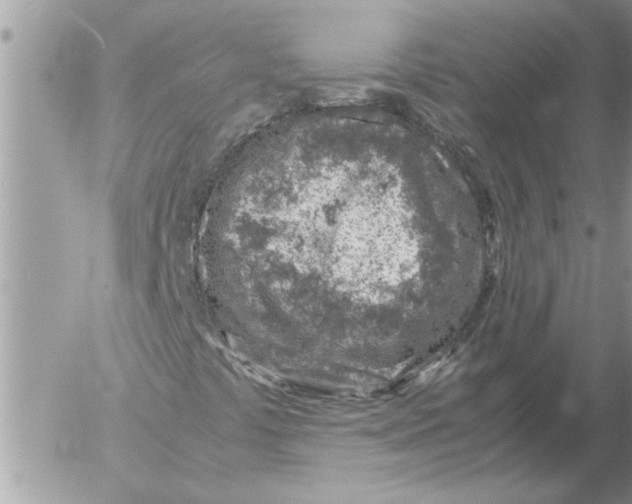 X0000052601441200507292111