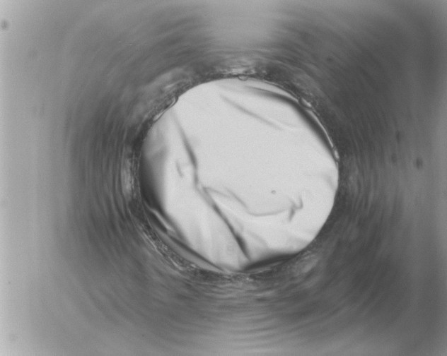 X0000052601442200507292111