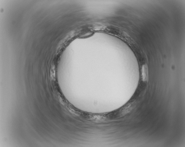 X0000052601443200507292111