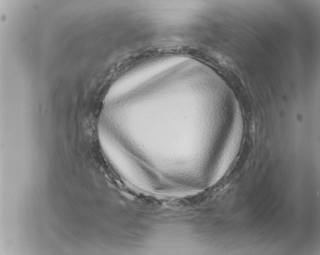 X0000052601445200507292111